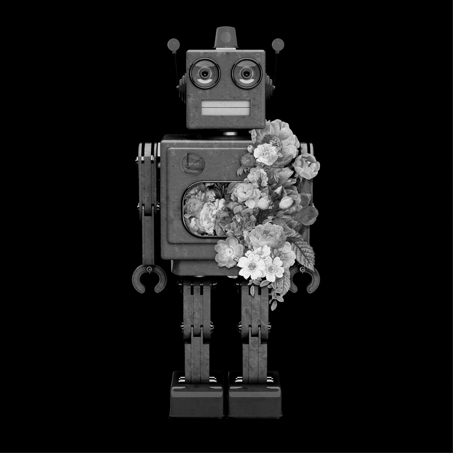 Robot Flower, Dark