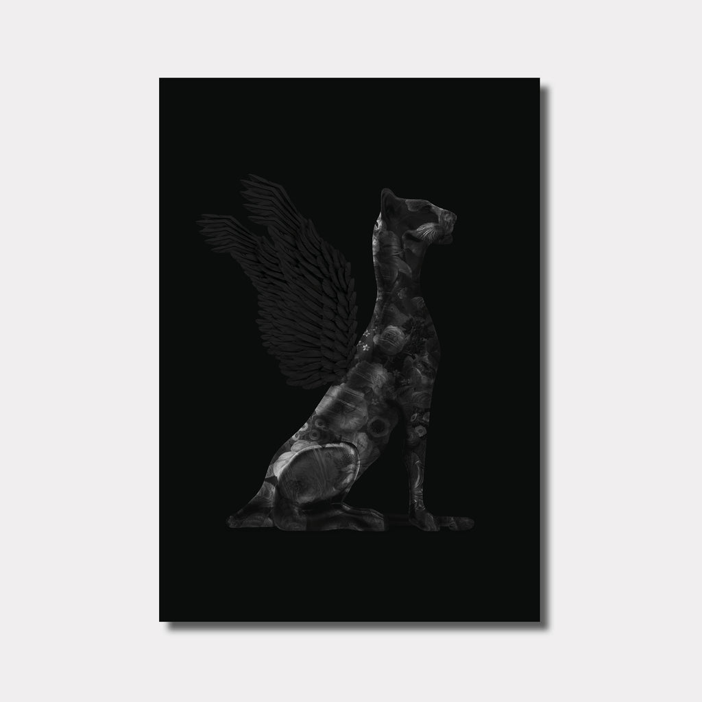 No Killer Dog, Black Black