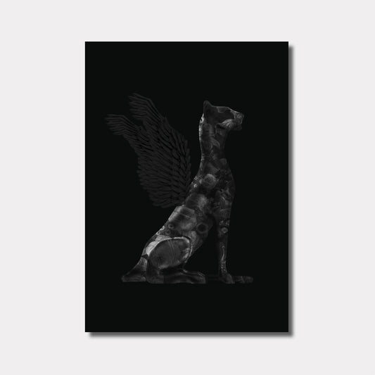 No Killer Dog, Black Black