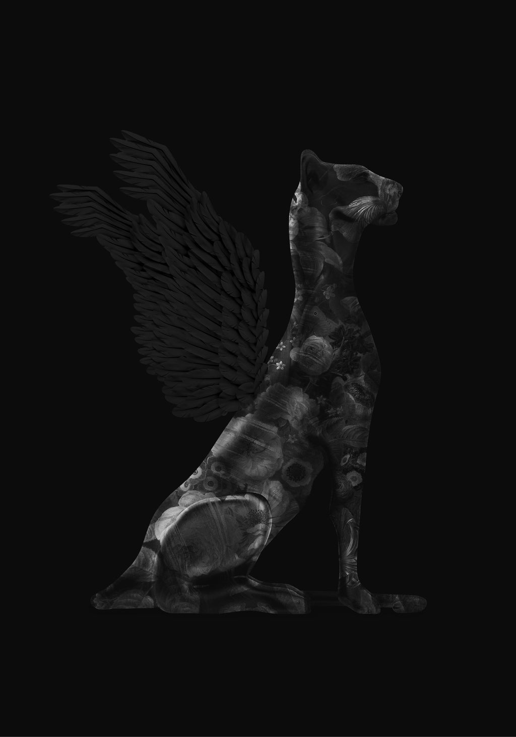 No Killer Dog, Black Black